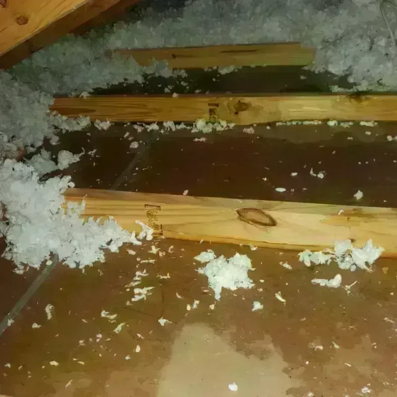 Attic Water Damage in Bibb County, GA