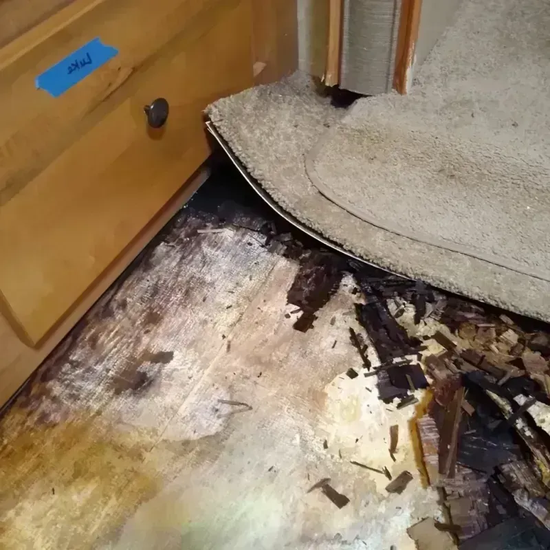 Best Wood Floor Water Damage Service in Bibb County, GA